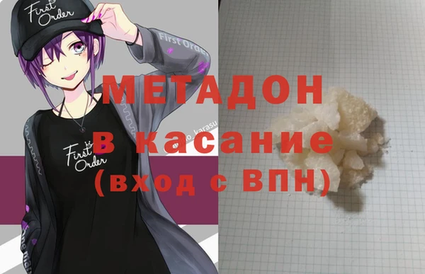 прущие грибы Корсаков