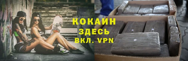 стаф Коряжма