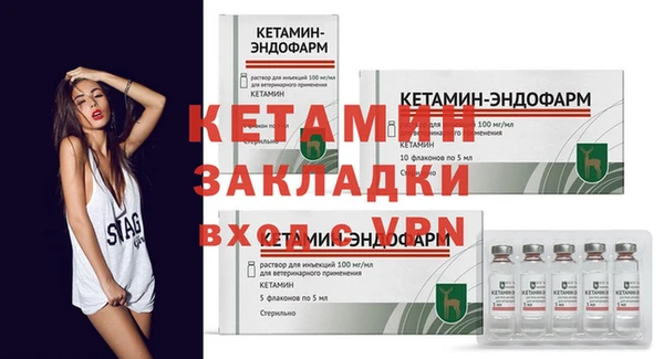 прущие грибы Корсаков
