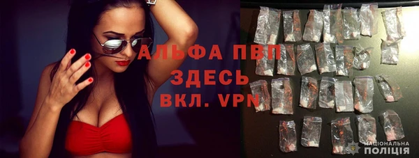 стаф Коряжма