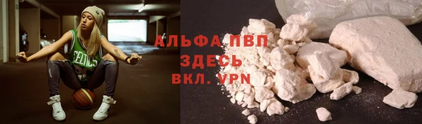 стаф Коряжма