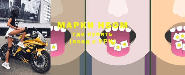 прущие грибы Корсаков