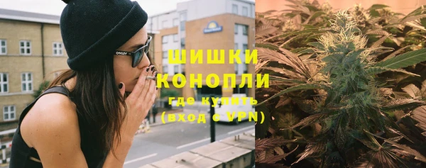 стаф Коряжма