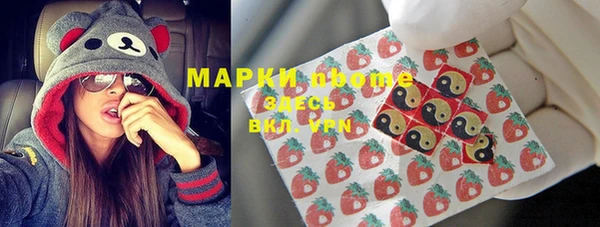 стаф Коряжма