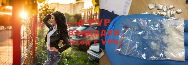 прущие грибы Корсаков