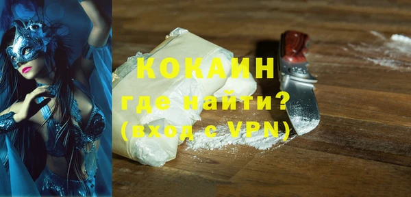прущие грибы Корсаков