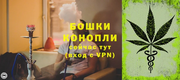 прущие грибы Корсаков