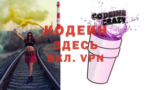 прущие грибы Корсаков