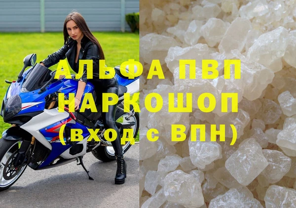 стаф Коряжма