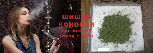 прущие грибы Корсаков