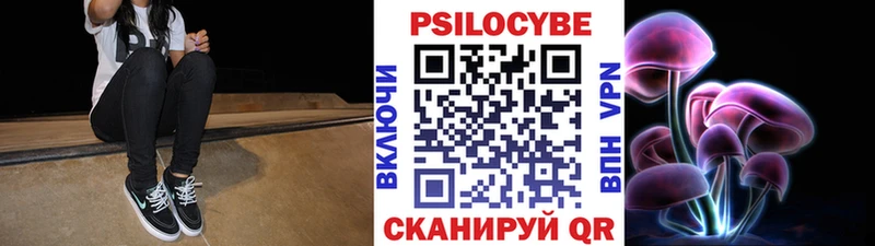 Псилоцибиновые грибы прущие грибы  Купить закладки  Болохово 